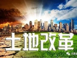 建设什么样的社会主义市场经济农村土地体制