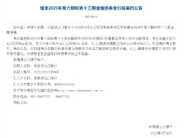 进出口银行：于9月11日经过承销做市团竞标增发2025年第六期和第十三期金融债券